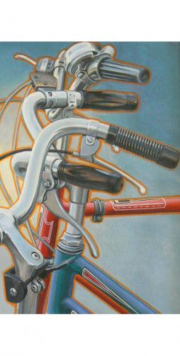 Bike Handles -Ken Taylor